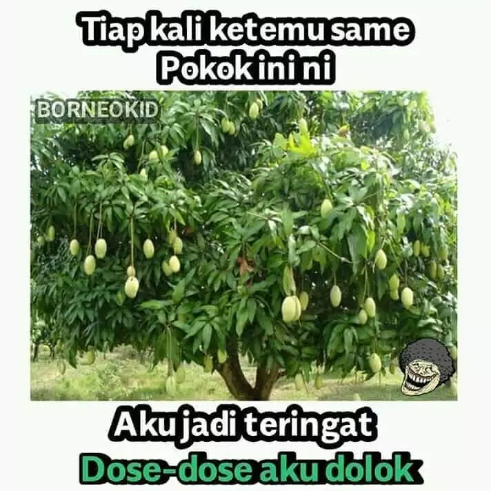 meme lucu gara-gara tetangga © 2020 instagram.com