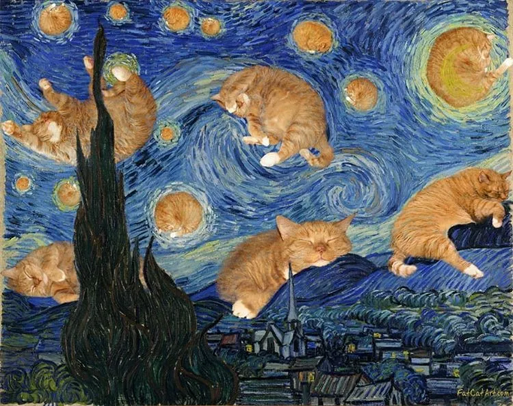 Wallpaper Kucing Ngeselin