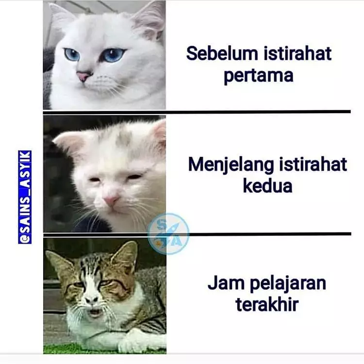 Meme kehidupan pelajar ini bikin sedih dan greget Berbagai sumber Meme kehidupan pelajar ini bikin sedih dan greget Berbagai sumber