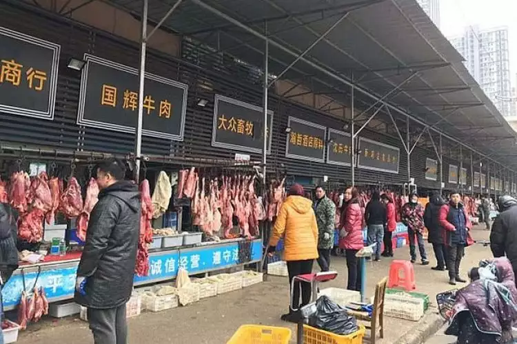 Pasar di Wuhan kembali jual daging kelelawar, ini kata WHO