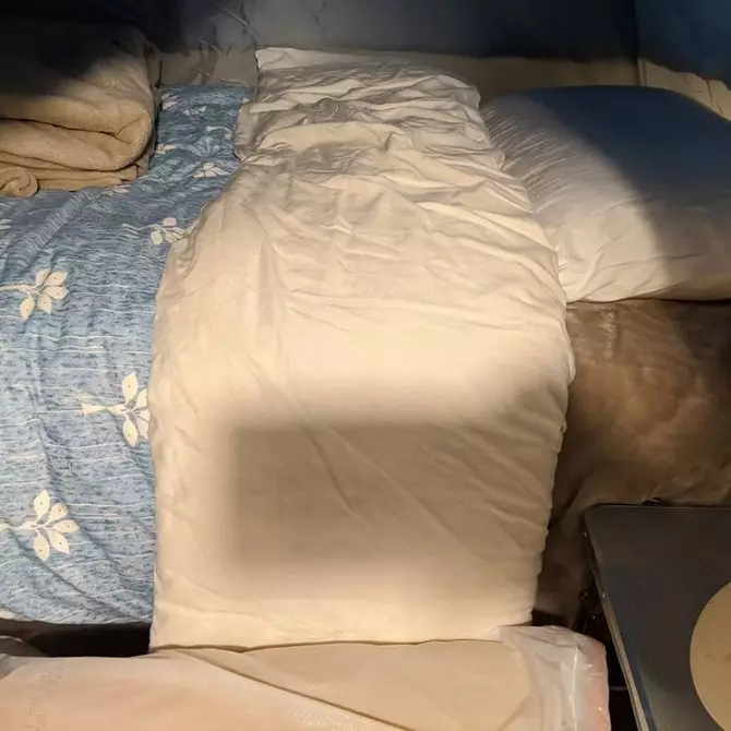 dokter tinggal di garasi © 2020 brilio.net dokter tinggal di garasi © 2020 brilio.net