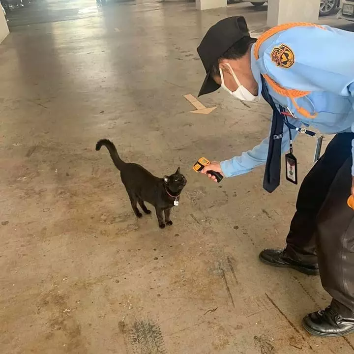 Potret dan video kelakuan nyleneh cegah penyebaran Corona Berbagai sumber Potret dan video kelakuan nyleneh cegah penyebaran Corona Berbagai sumber