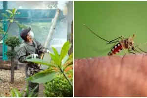 Corona belum usai, masyarakat diimbau waspada demam berdarah