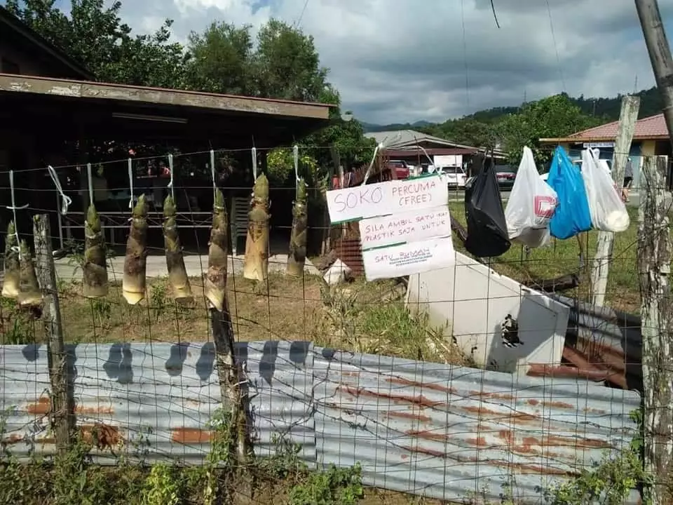 potret kampung di Malaysia bagikan hasil panen gratis facebook