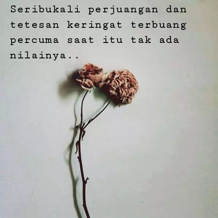 kata sakit hati cemburu pixabay