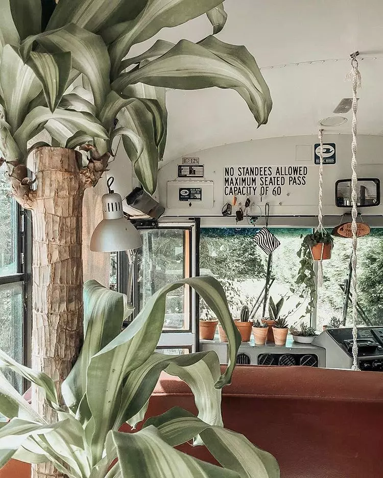 Bus tua ini disulap jadi rumah Instagram/@therealbuslifeofcheshire Bus tua ini disulap jadi rumah Instagram/@therealbuslifeofcheshire