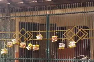 Kisah nenek 84 tahun tiap hari gantung makanan di pagar rumah