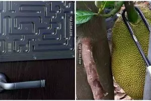 10 Potret demi menjaga keamanan ini nyelenehnya kocak abis