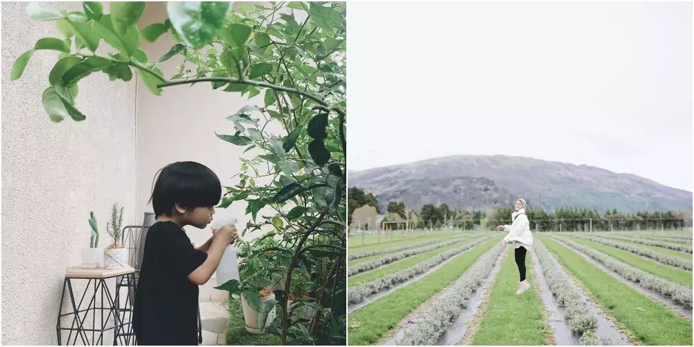 Seleb berkebun © 2020 brilio.net