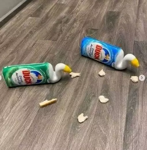 kreativitas waktu di rumah aja © 2020 instagram.com