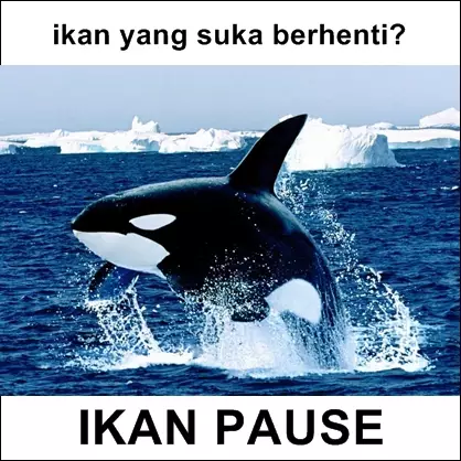 tebakan untuk status Whatsapp © 2021 brilio.net