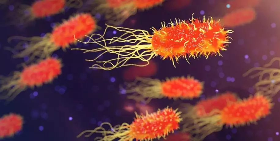 5 Jenis Meningitis © 2020 brilio.net 5 Jenis Meningitis © 2020 brilio.net