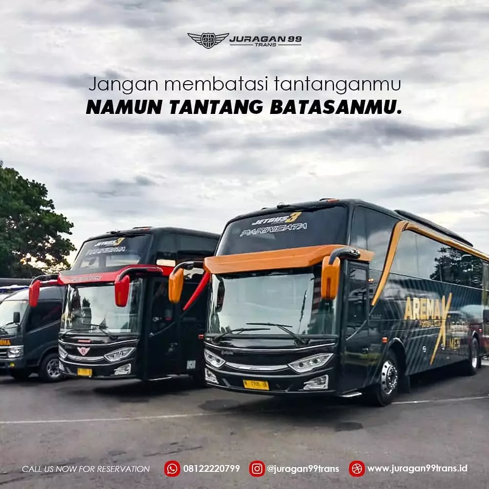 Shandy wanita kaya raya pembagi makanan © 2020 brilio.net Shandy wanita kaya raya pembagi makanan © 2020 brilio.net