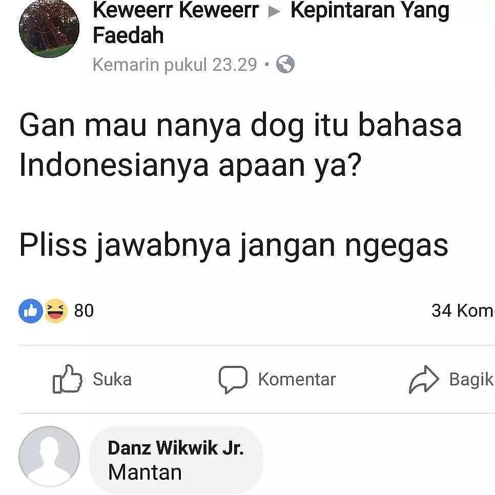 status FB lucu salah bahasa kocak © 2020 instagram.com