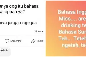 10 Status FB lucu salah bahasa ini bikin tepuk jidat