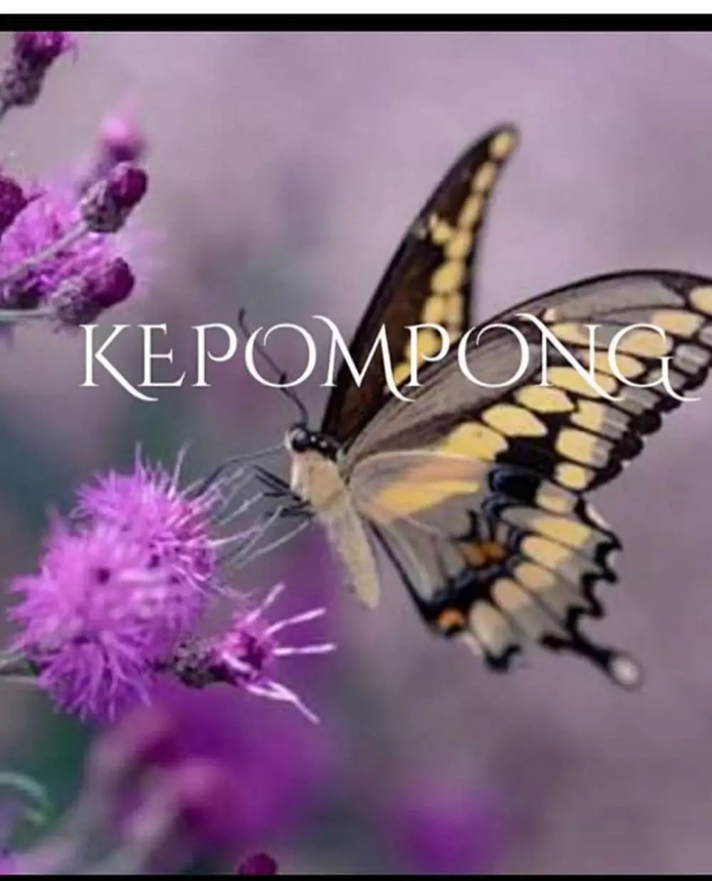 Geng Mayangsari rumah aja instagram