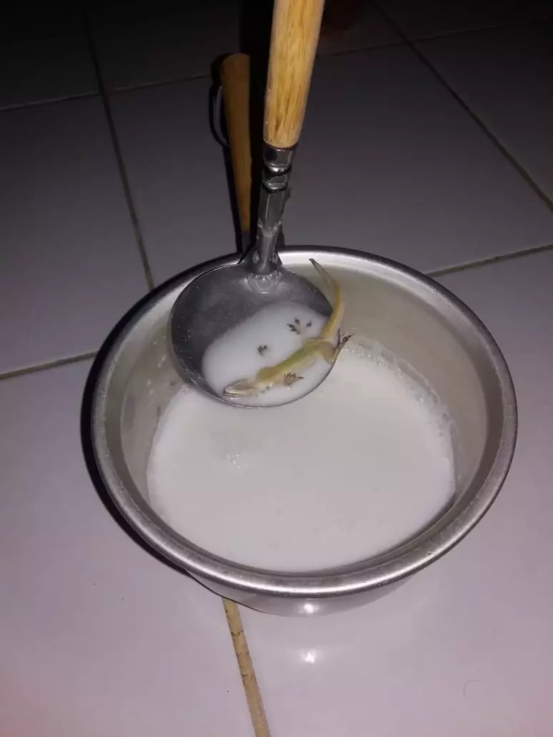 15 Potret makanan gagal ini bikin tepuk jidat Twitter 15 Potret makanan gagal ini bikin tepuk jidat Twitter