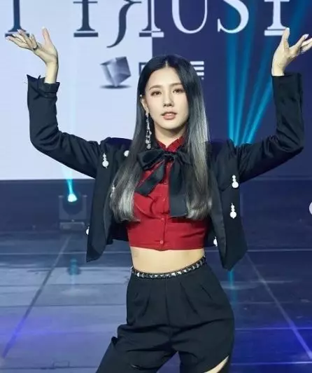 12 Idol K-Pop dengan masa trainee terlama Instagram