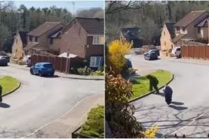 Pria ini nyamar jadi semak-semak demi ke luar rumah saat karantina