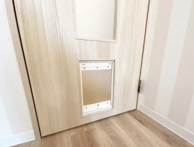 apartemenkucing © 2020 brilio.net