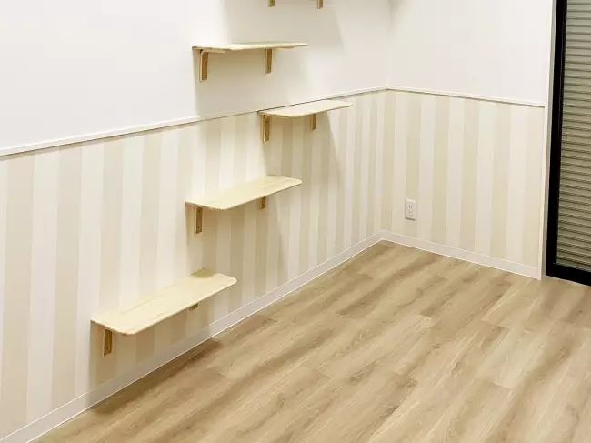 apartemenkucing © 2020 brilio.net