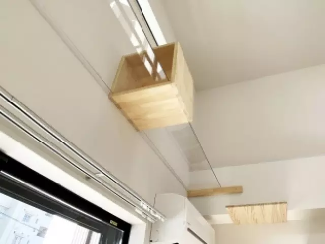 apartemenkucing © 2020 brilio.net