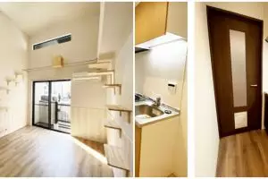 7 Potret apartemen unik khusus pencinta kucing, simple & nyaman