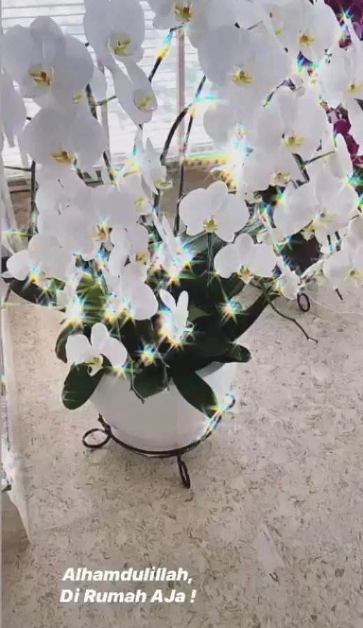 apartemen syahrini reino © 2020 brilio.net apartemen syahrini reino © 2020 brilio.net