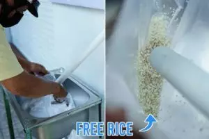 Bukan uang, ATM di Vietnam ini berisi beras