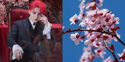 10 idol kpop alergi Berbagai sumber  10 idol kpop alergi Berbagai sumber