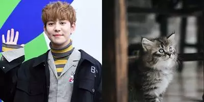 10 idol kpop alergi Berbagai sumber  10 idol kpop alergi Berbagai sumber