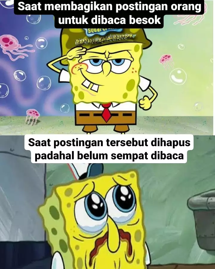 Meme sakitnya kehilangan postingan Berbagai sumber
