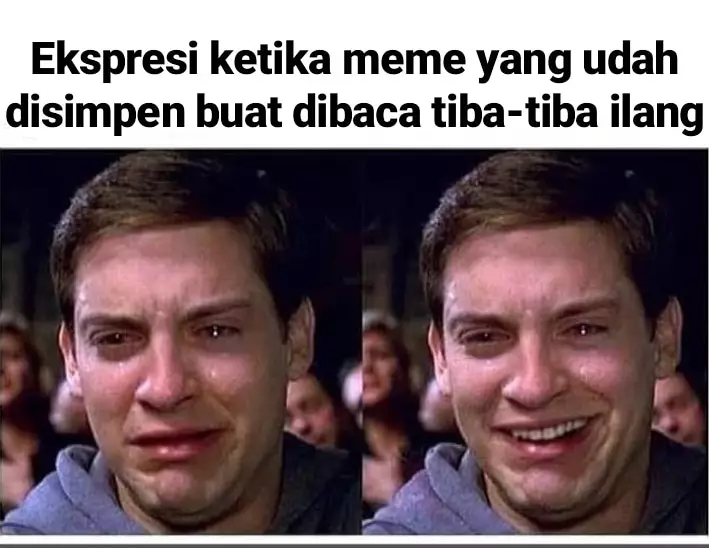 Meme sakitnya kehilangan postingan Berbagai sumber