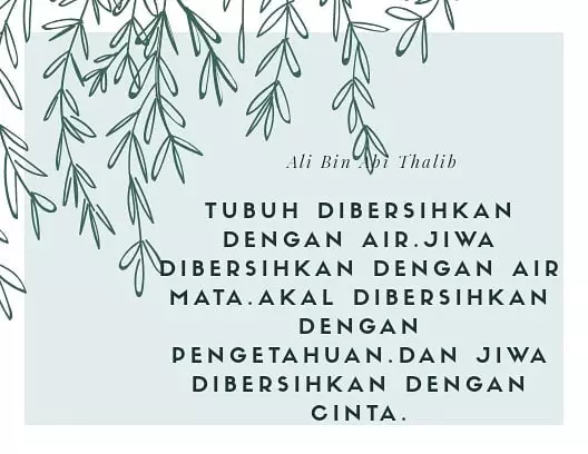 kata-kata bijak Khulafaur Rasyidin instagram