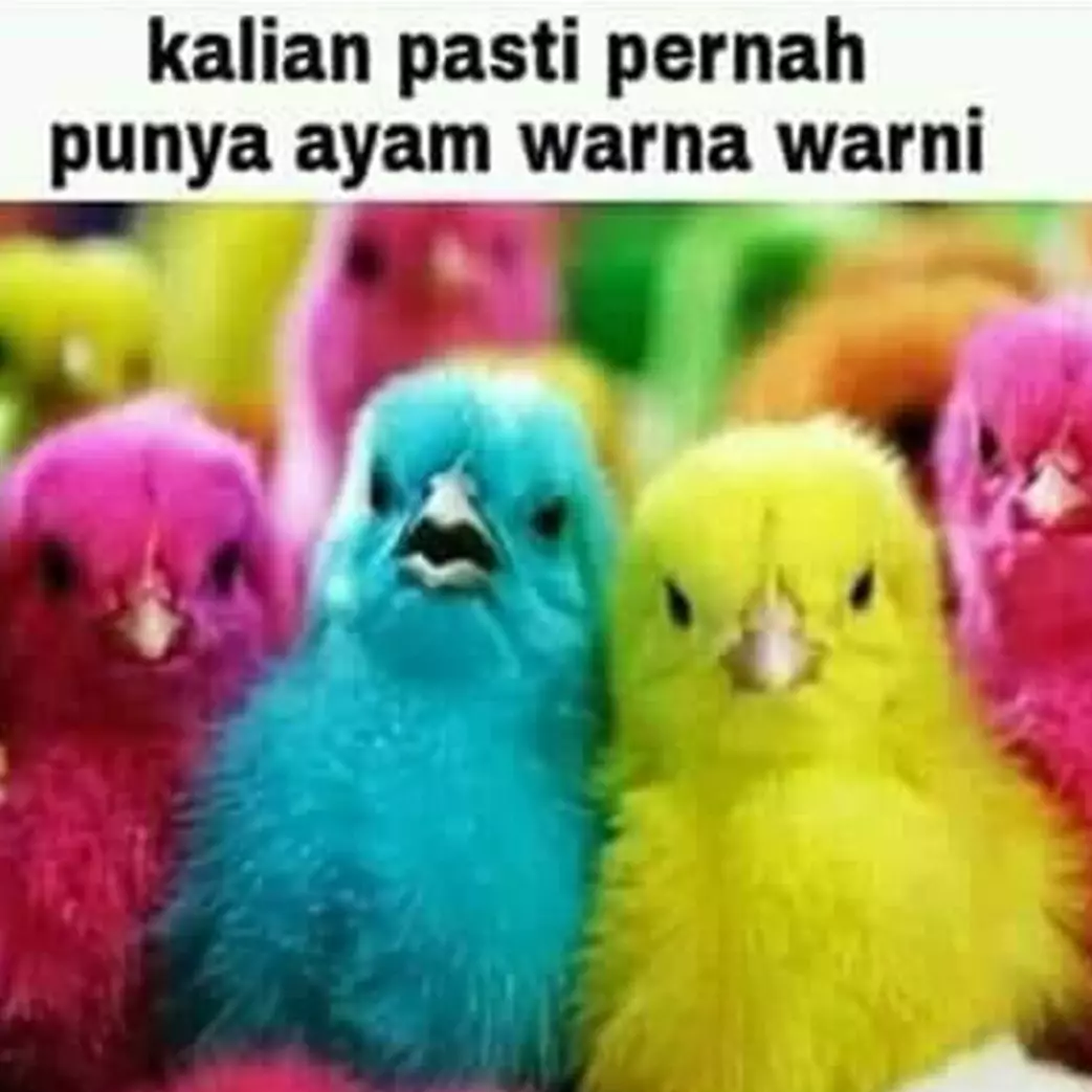  10 Meme kenangan masa kecil ini bikin tertawa sambil nostalgia