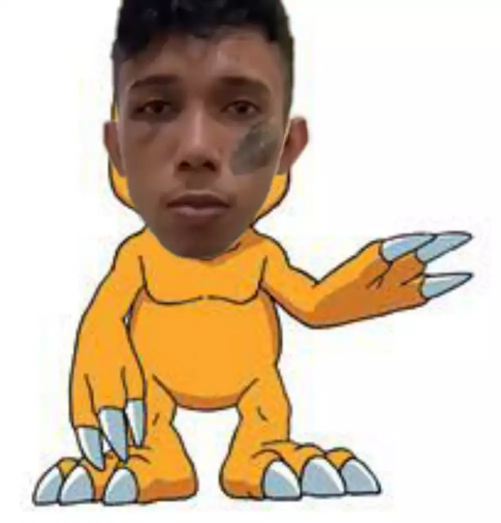 Meme Ketua Anarko Berbagai sumber Meme Ketua Anarko Berbagai sumber