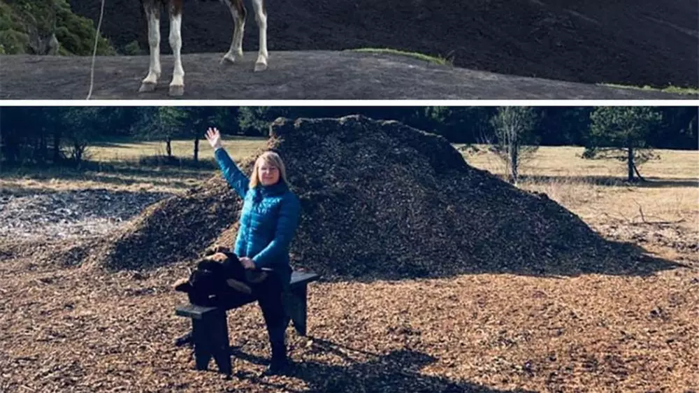 Potret orang liburan di rumah boredpanda Potret orang liburan di rumah boredpanda
