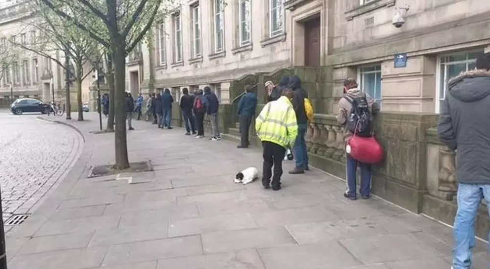 hidup di hutan © 2020 brilio.net