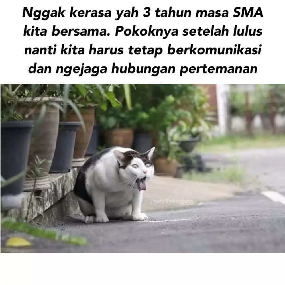 meme lucu salah ngomong © 2020 instagram.com