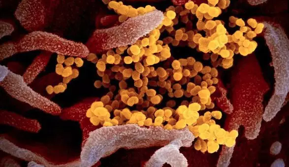 virus corona  © 2020 brilio.net virus corona  © 2020 brilio.net