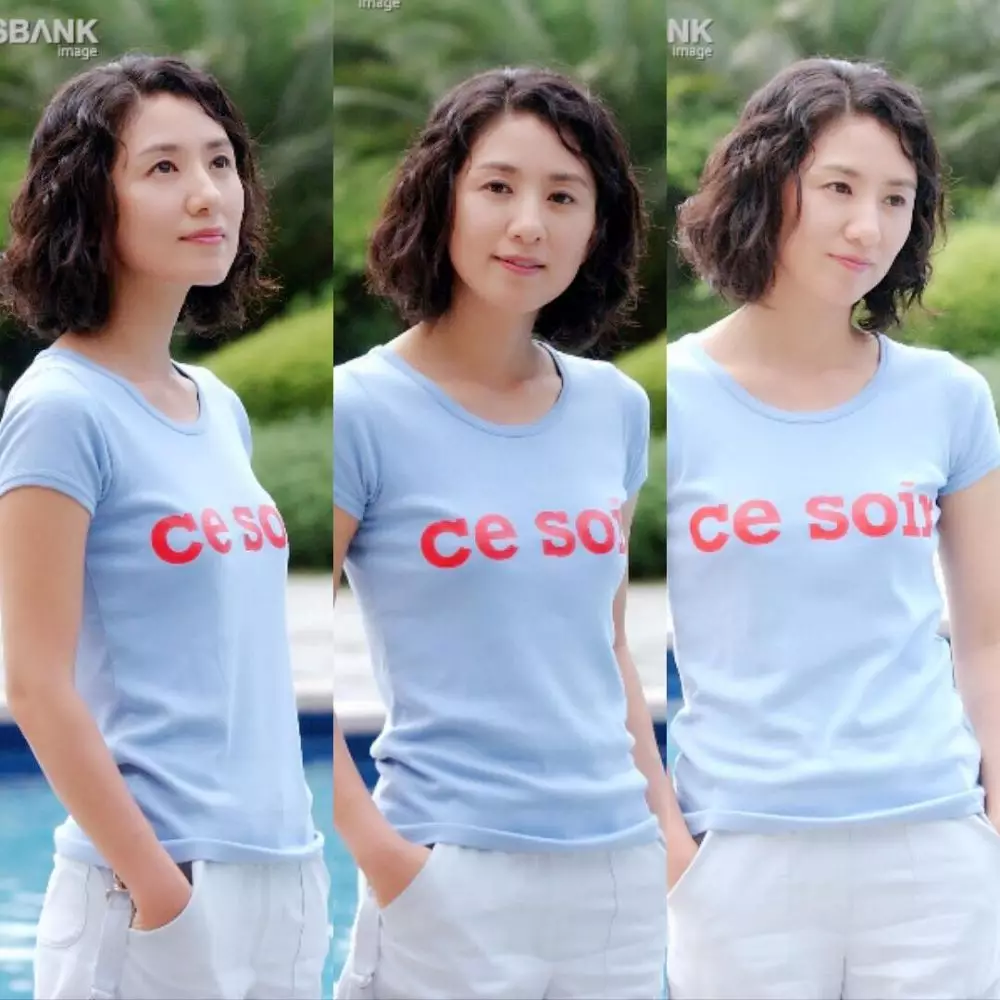 Transformasi Kim Hee-ae  Berbagai sumber  Transformasi Kim Hee-ae  Berbagai sumber