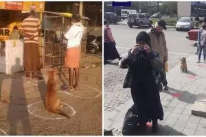 10 Potret perilaku unik binatang ikuti social distancing, kocak