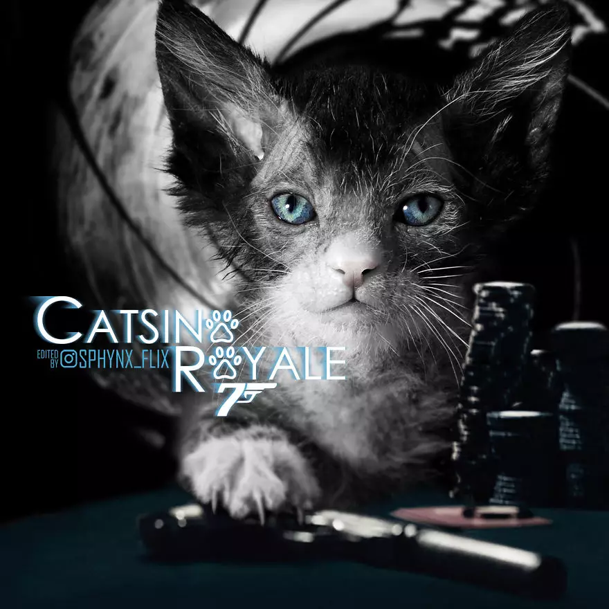 Parodi poster film Hollywood instagram Parodi poster film Hollywood instagram