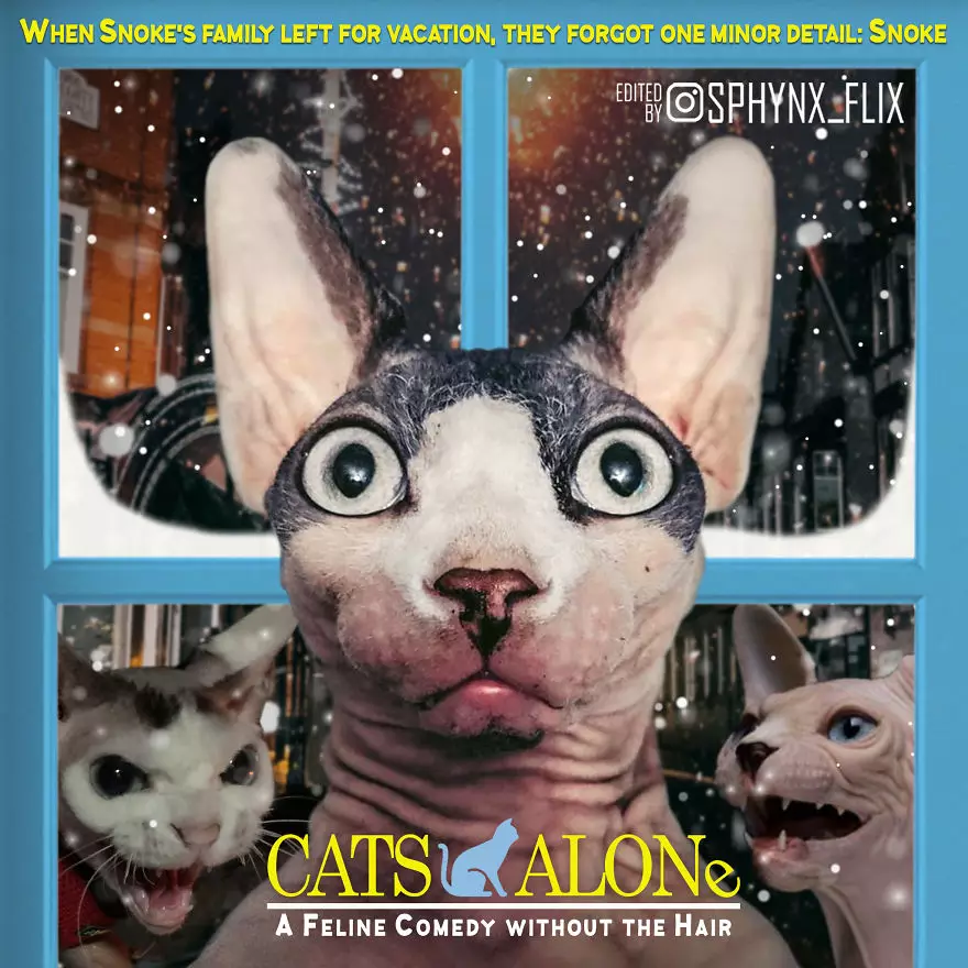 Parodi poster film Hollywood instagram Parodi poster film Hollywood instagram