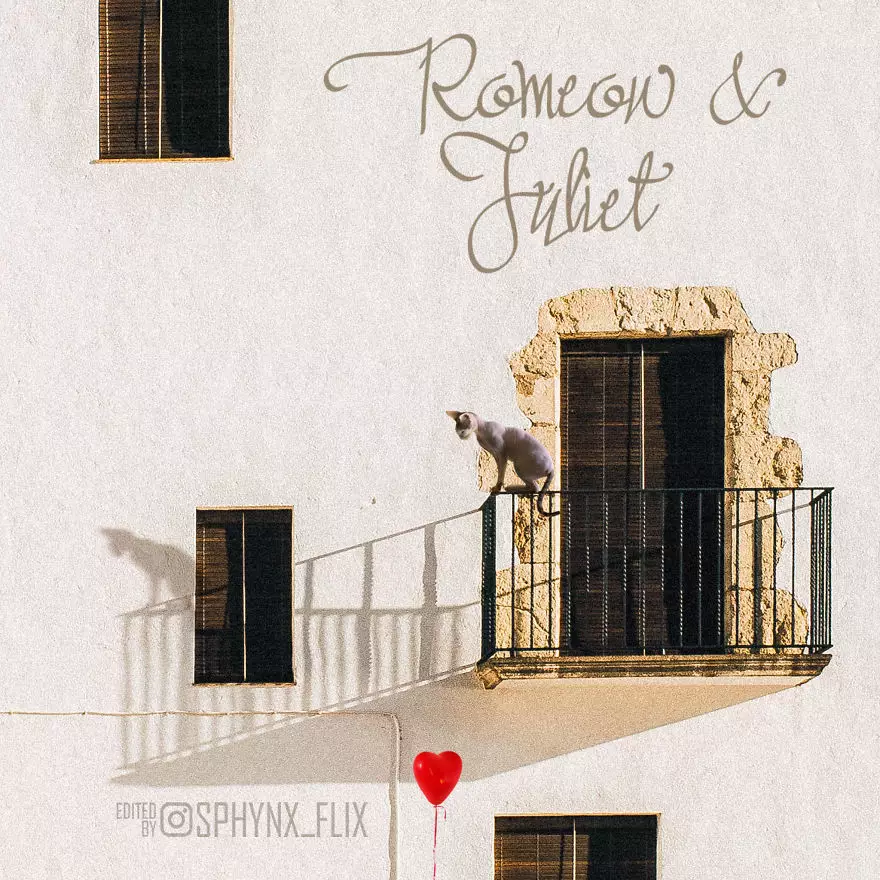 Parodi poster film Hollywood instagram Parodi poster film Hollywood instagram