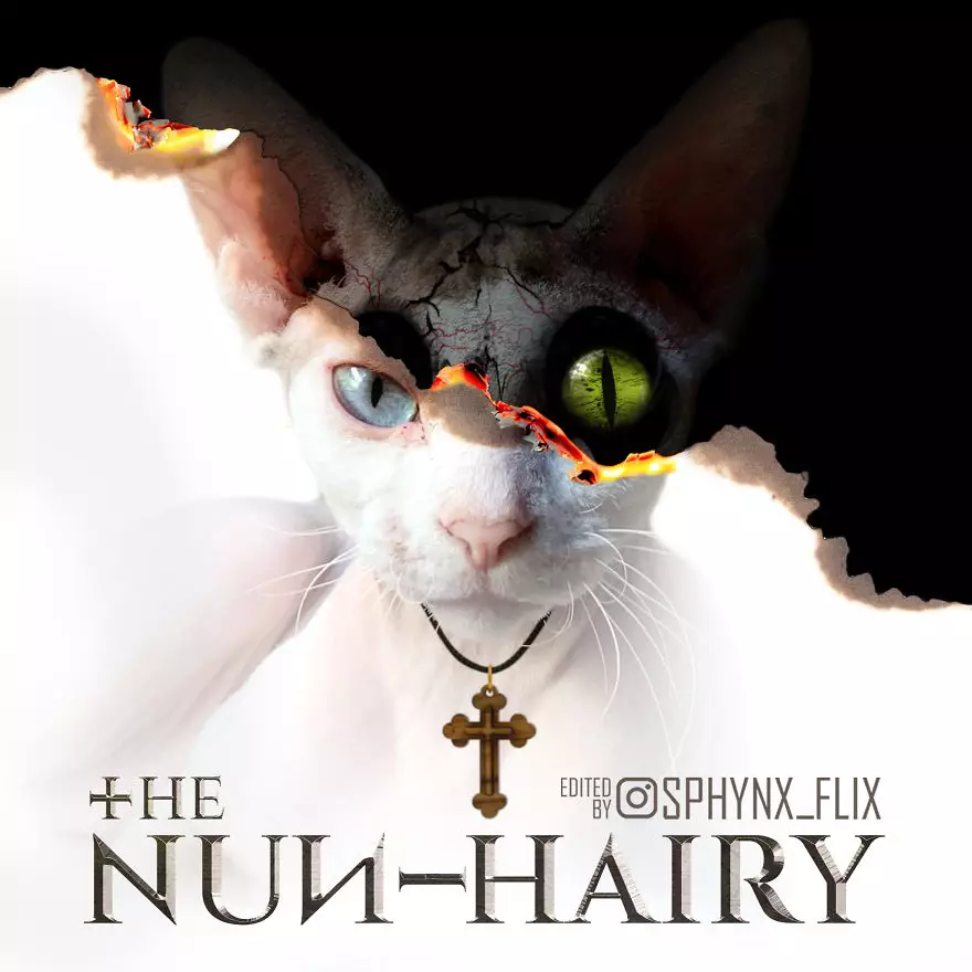 Parodi poster film Hollywood instagram Parodi poster film Hollywood instagram