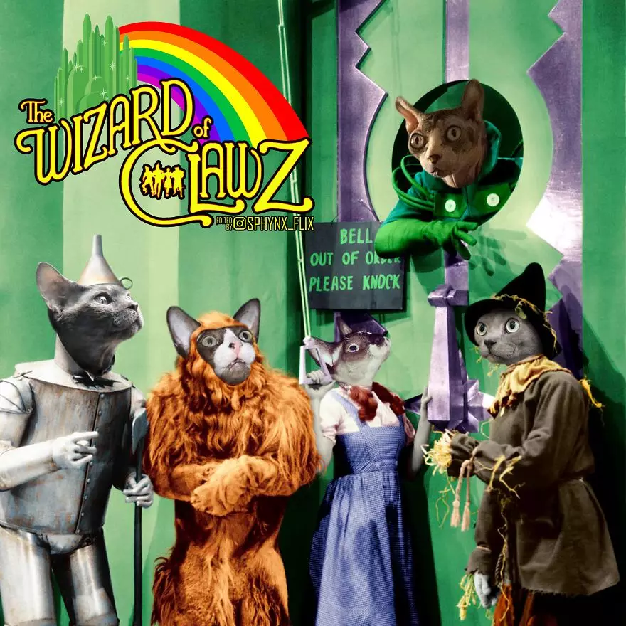 Parodi poster film Hollywood instagram Parodi poster film Hollywood instagram