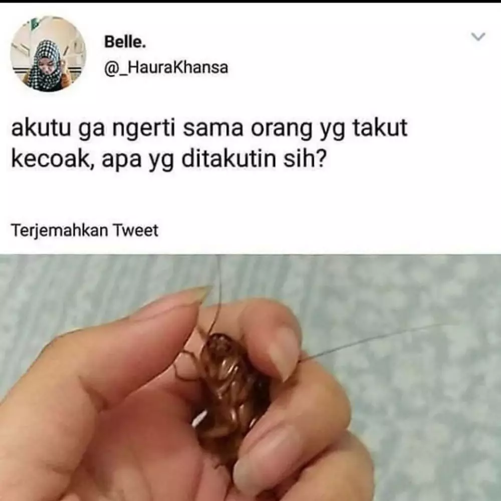 status FB lucu pertanyaan nyeleneh © 2020 instagram.com