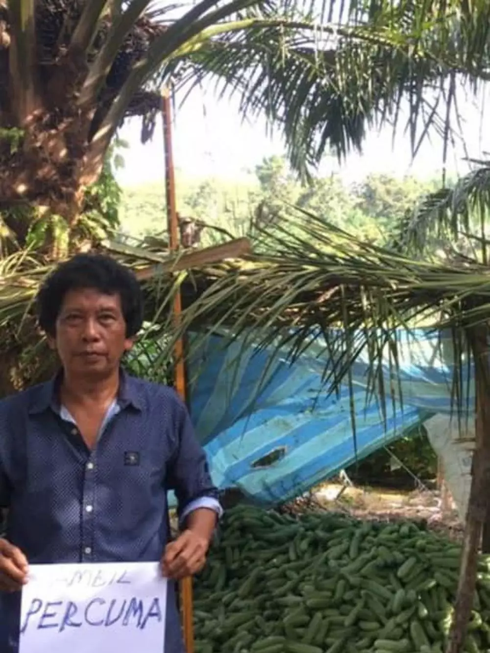 timun © 2020 brilio.net