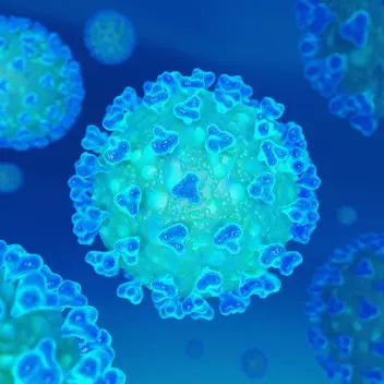 Kapan pandemi corona berakhir di Indonesia? Ini prediksinya